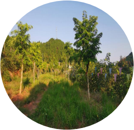 1763003652945150.png 222222.png